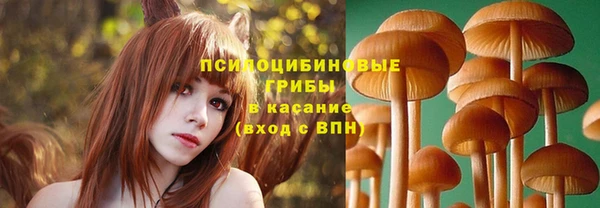 крисы Приозерск