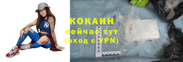 гидра Покачи
