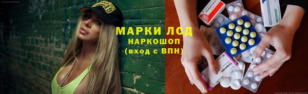 гидра Покачи