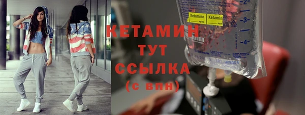 гидра Покачи