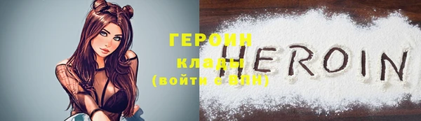 гидра Покачи