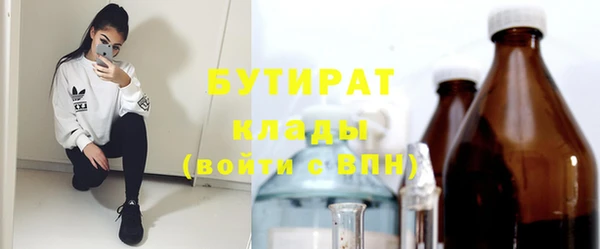 гидра Покачи