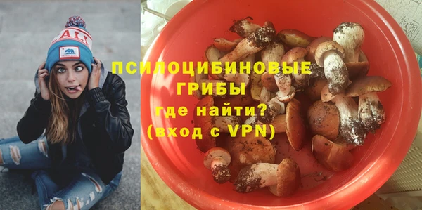 гидра Покачи