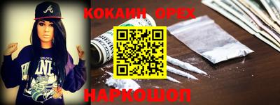 индика Дубна