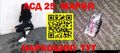 индика Дубна