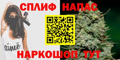 индика Дубна