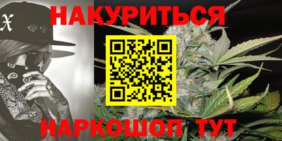 индика Дубна