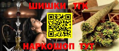 индика Дубна