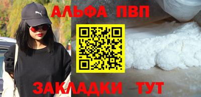 индика Дубна