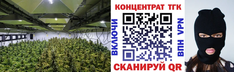 закладки  Сарапул  OMG как зайти  ТГК жижа 