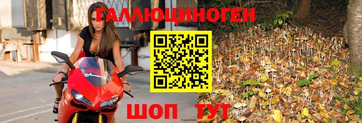 Галлюциногенные грибы прущие грибы Сарапул