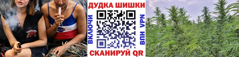 Шишки марихуана семена  что такое   OMG как войти  Сарапул 